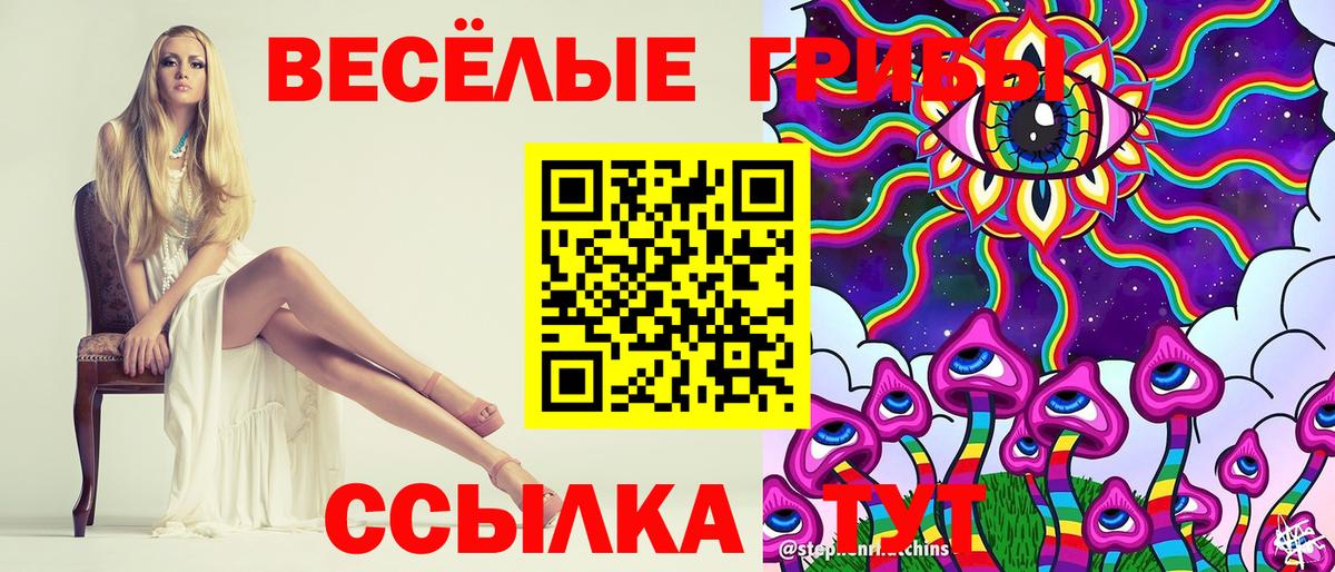 Галлюциногенные грибы MAGIC MUSHROOMS  Вход с VPN  продажа наркотиков  Медногорск 